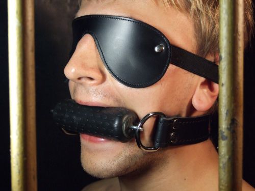 Thick Bit Gag With Leather Straps