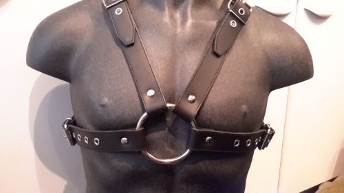 Leather Upper Body Buckle Harness (large)