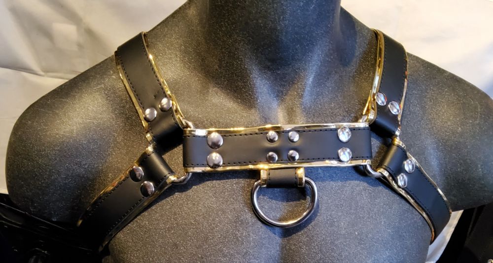 Black and Gold H Front Harness
