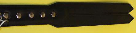Leather 2 Strip Tawse
